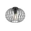 Design plafondlamp zwart 30 cm - Johanna