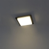 Moderne plafondlamp zwart vierkant incl. Led ip44 - lys