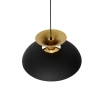 Smart hanglamp zwart met goud incl. Wifi g95 - titus