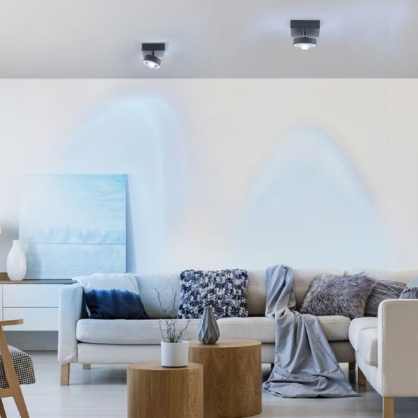 Smart plafondspot donkergrijs met afstandsbediening - marko