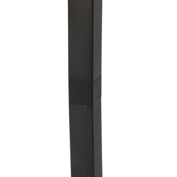 Smart vloerlamp zwart 3-lichts incl. Wifi g95 - big cage