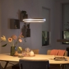 Philips hue being led hanglamp in aluminium