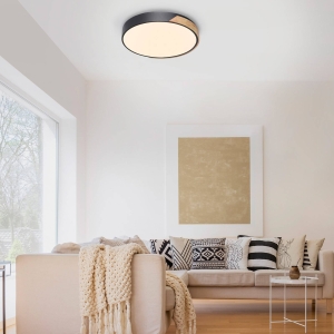 Q-Smart-Home Paul Neuhaus Q-BILA LED plafondlamp