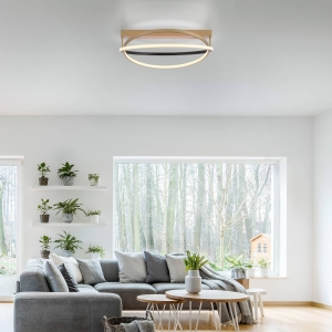 Q-Smart-Home Paul Neuhaus Q-Beluga LED plafondlamp