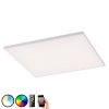 Q-Smart-Home Paul Neuhaus Q-FRAMELESS plafondlamp RGBW 62x62cm