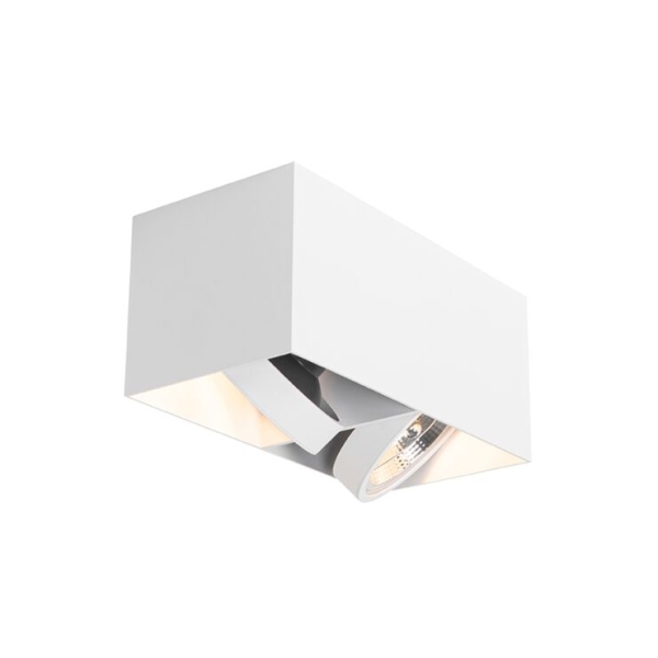 Design spot wit rechthoekig ar111 2-lichts - box