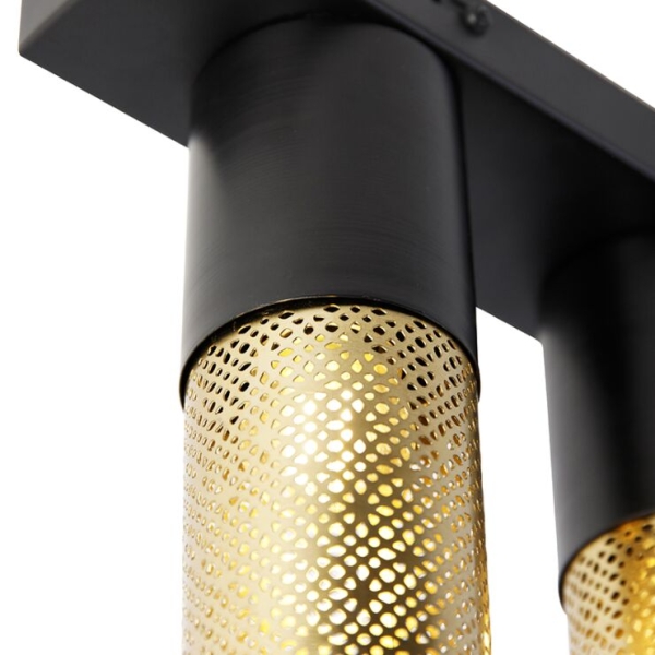 Industriële plafondlamp zwart met goud 2-lichts - raspi