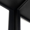 Moderne plafondlamp zwart 2-lichts - cela