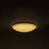 Plafondlamp 40 cm incl. Led met afstandsbediening - extrema