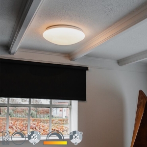 Plafondlamp wit 33 cm incl. LED en dimmer met afstandsbediening - Iene