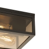 Plafondlamp zwart met smoke glas 2-lichts ip44 - charlois