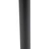 Smart buitenlamp zwart 80 cm ip44 incl. Wifi st64 - gleam