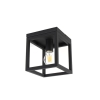 Smart industriele plafondlamp zwart incl. Wifi a60 cage 14