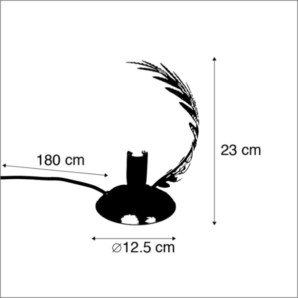 5 cm - botanica