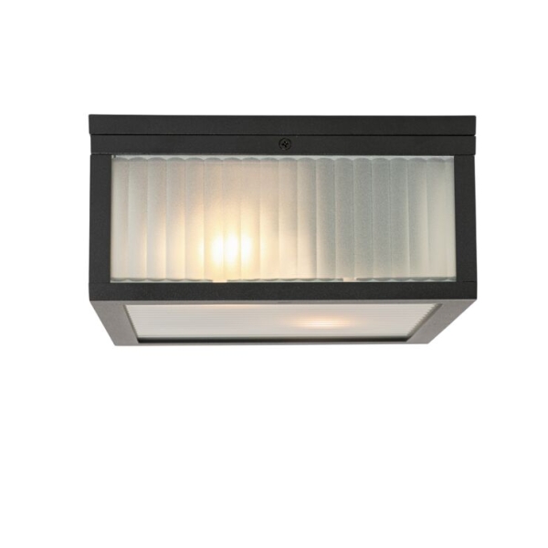 Buiten plafondlamp zwart met ribbel glas 2-lichts ip44 - charlois