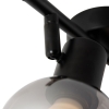 Smart plafondlamp zwart met smoke glas incl. 2 wifi p45 - vidro
