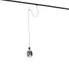 Hanglamp met rail ophanging zwart incl. Led g170 - cavalux