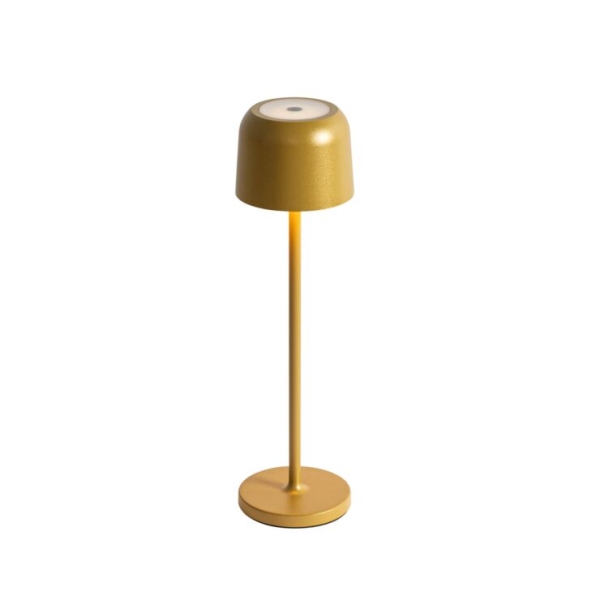 Set van 2 tafellampen mushroom goud incl. laadstation - Raika