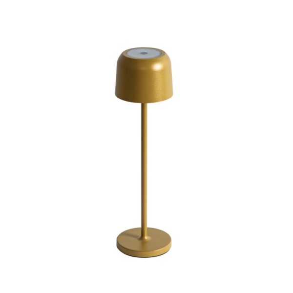 Set van 2 tafellampen mushroom goud incl. laadstation - Raika