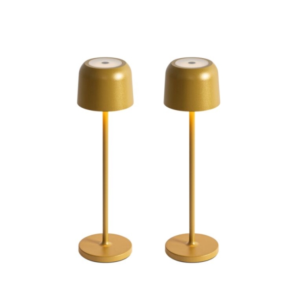 Set van 2 tafellampen mushroom goud incl. laadstation - Raika