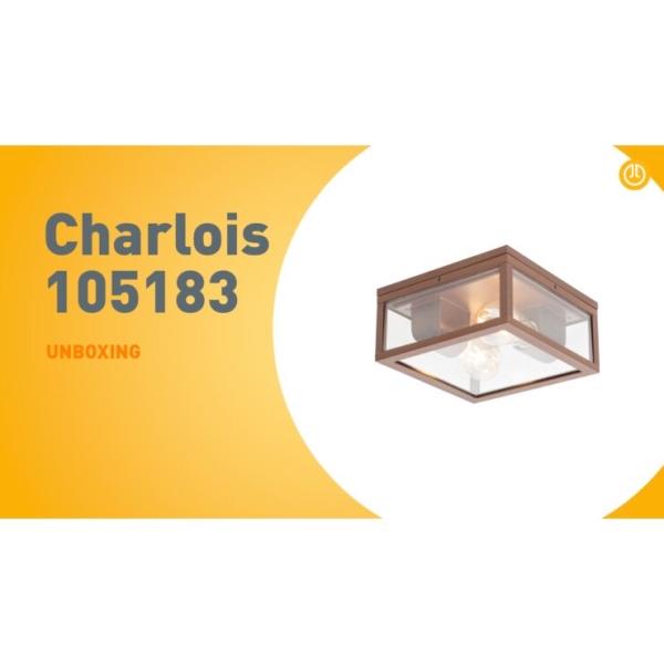 Industriële plafondlamp roestbruin IP44 2-lichts - Charlois