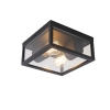 Industriële plafondlamp zwart IP44 2-lichts - Charlois